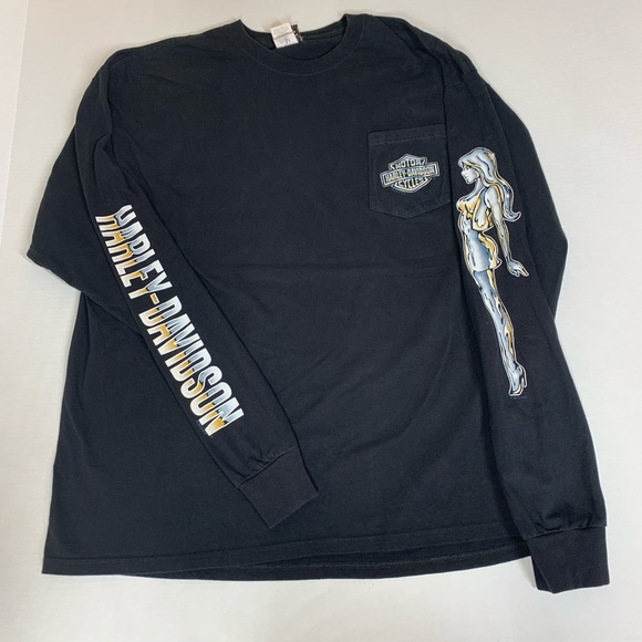Harley-Davidson Other - Harley Davison Zylstra Elk River Minnesota long sleeve shirt XL